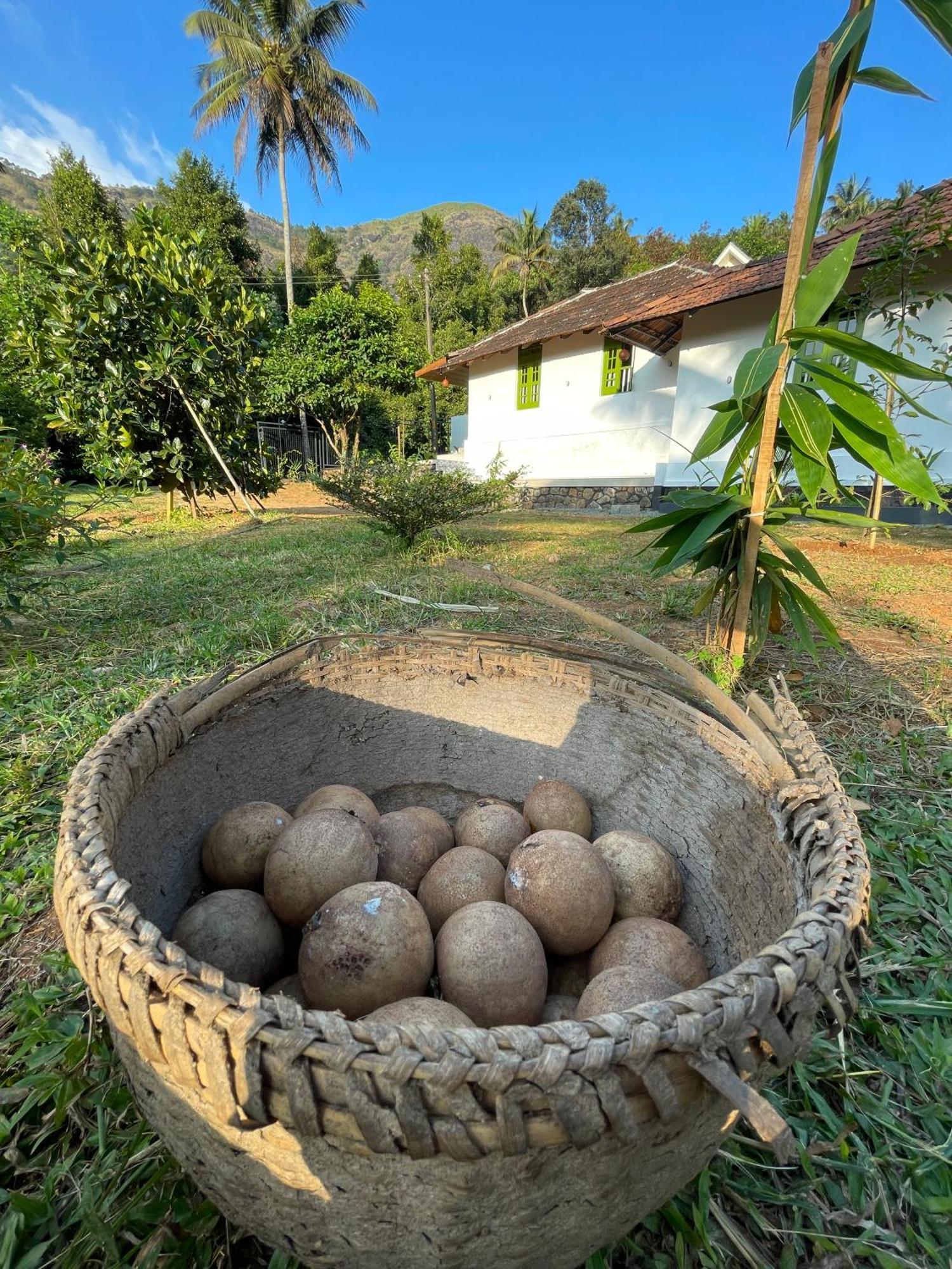 Calm Shack - 2 Bedroom-Boutique Farm Stay Munnar Luaran gambar