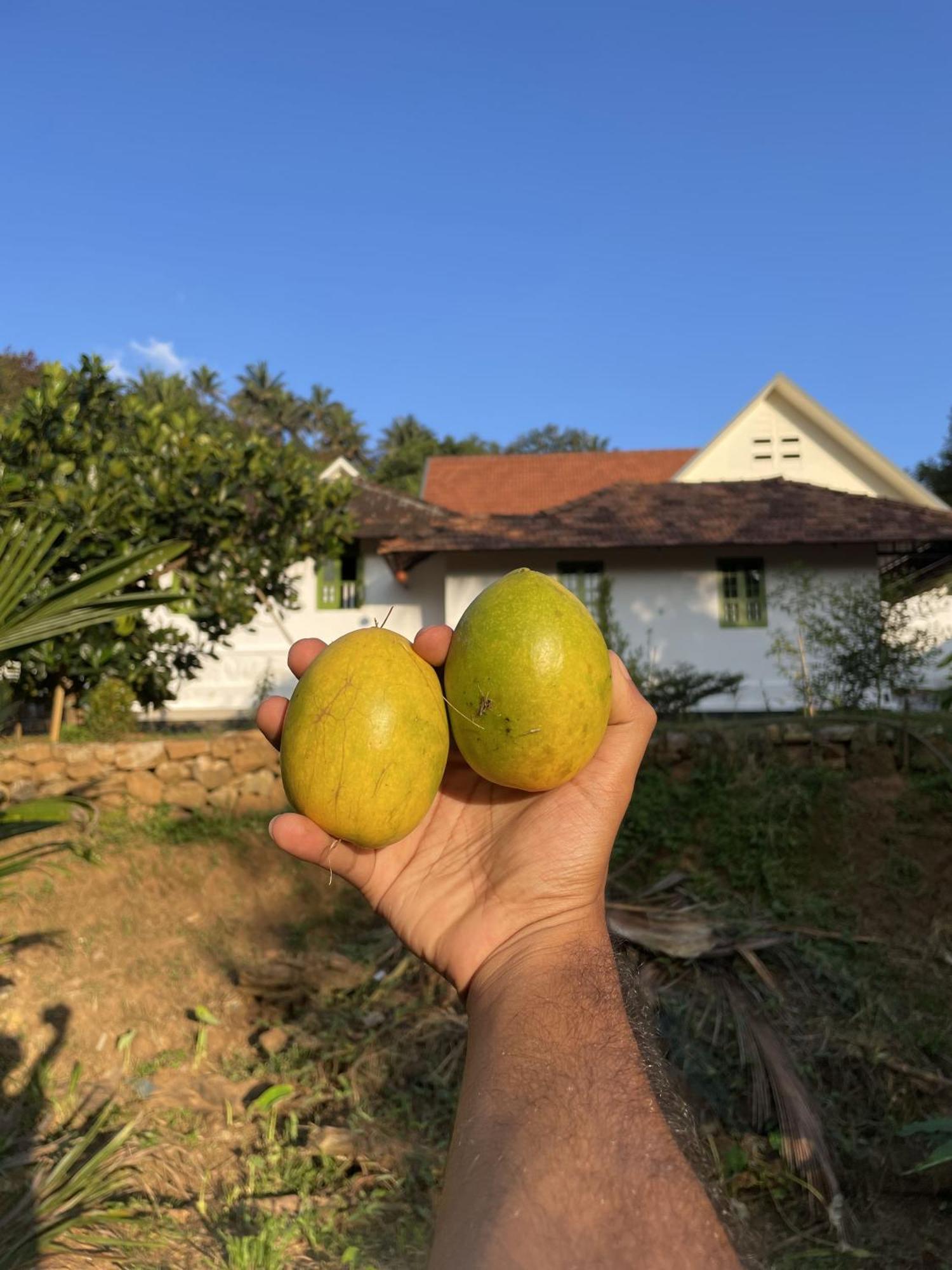 Calm Shack - 2 Bedroom-Boutique Farm Stay Munnar Luaran gambar