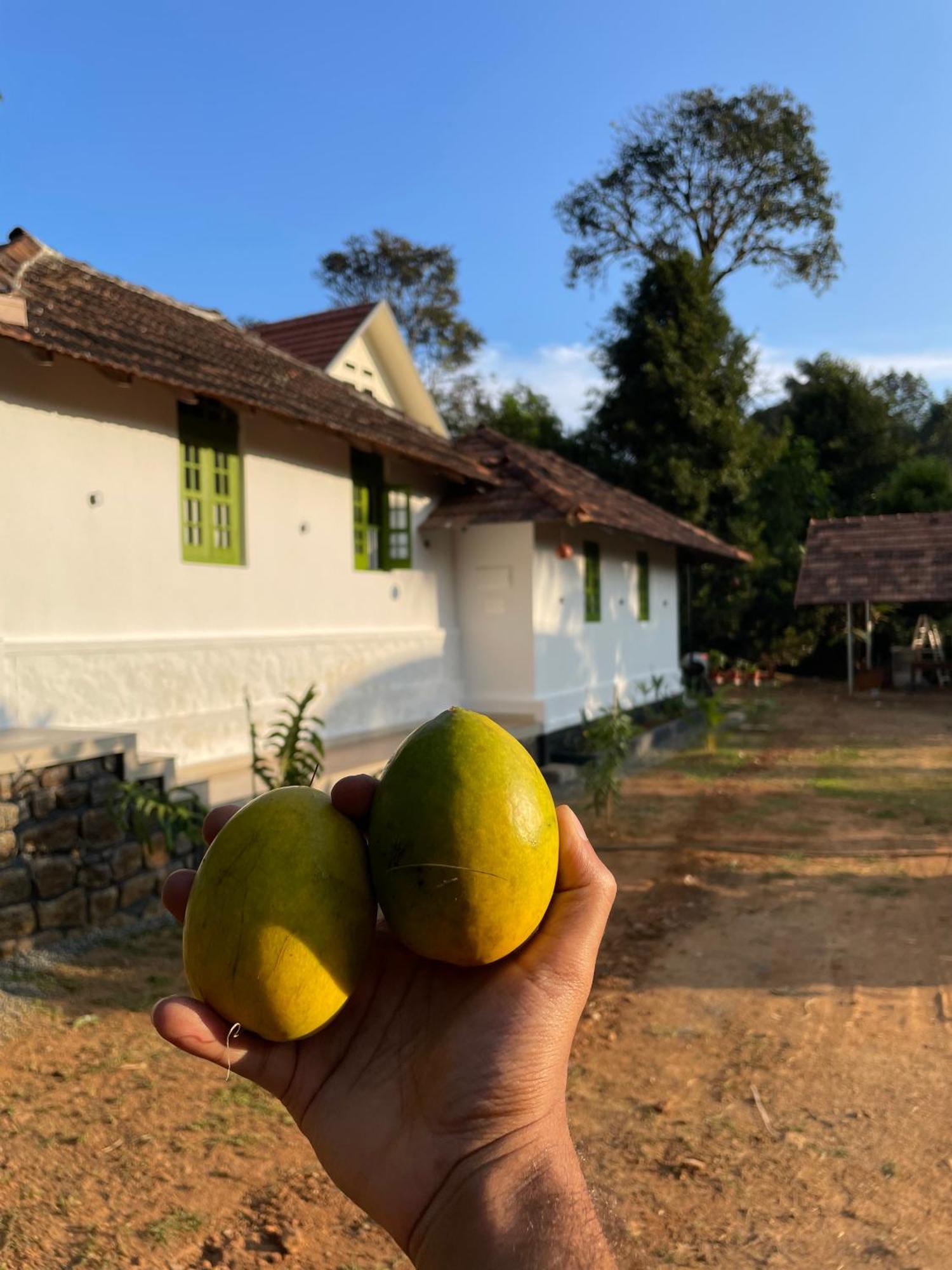 Calm Shack - 2 Bedroom-Boutique Farm Stay Munnar Luaran gambar