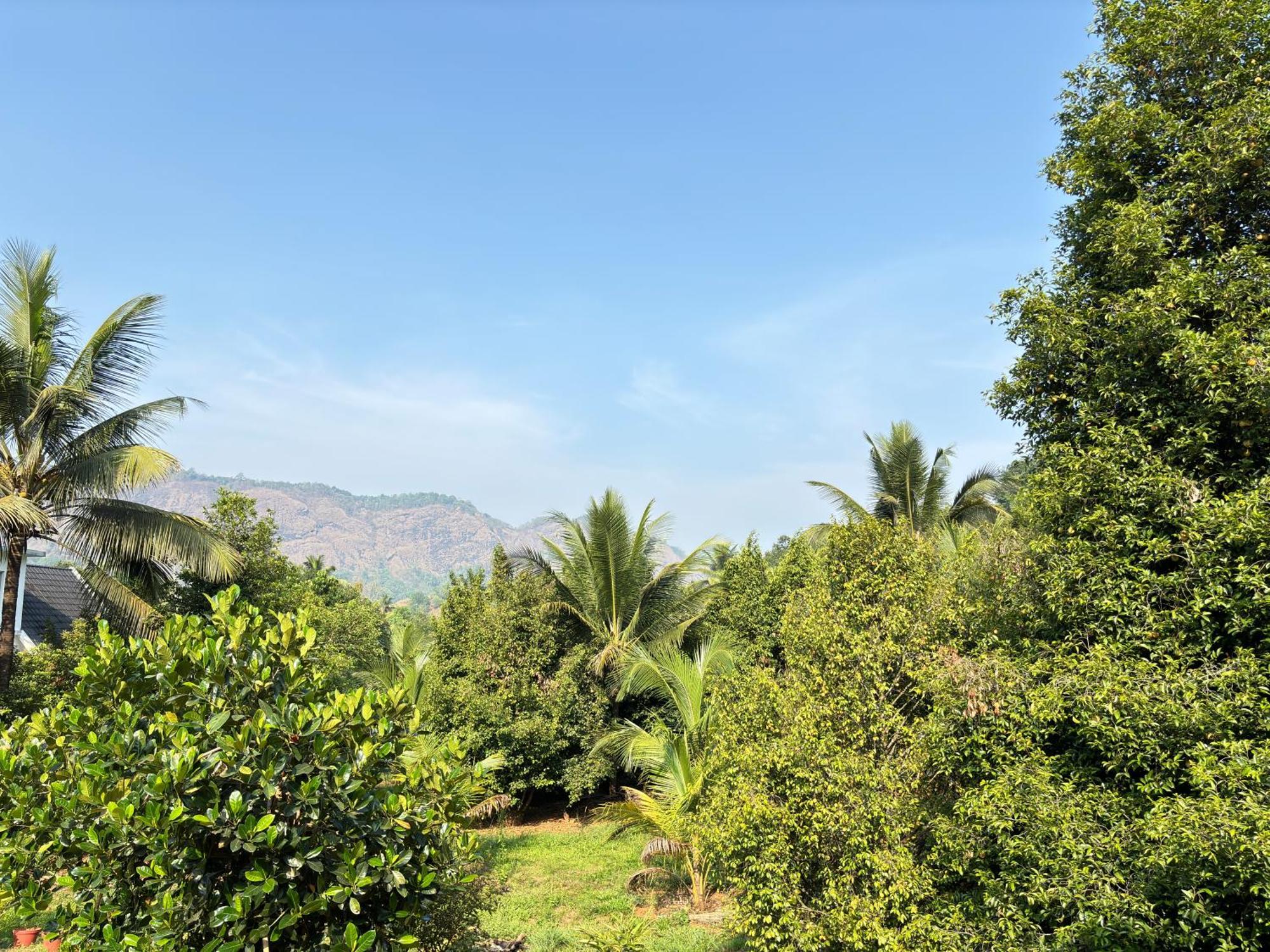 Calm Shack - 2 Bedroom-Boutique Farm Stay Munnar Luaran gambar