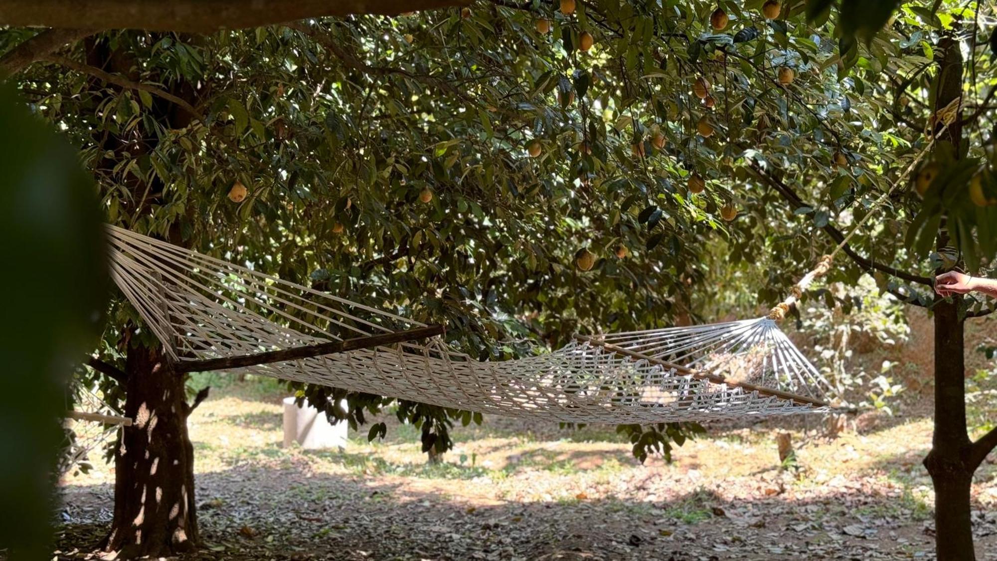 Calm Shack - 2 Bedroom-Boutique Farm Stay Munnar Luaran gambar